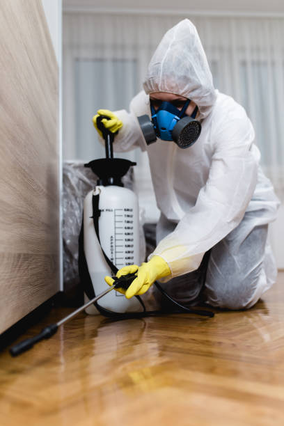 Best Pest Prevention Services  in Rogersville, AL